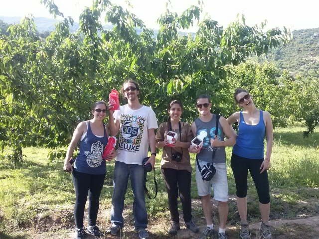 Recogiendo cerezas