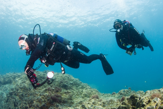 Conoce el fondo marino lanzaroteño