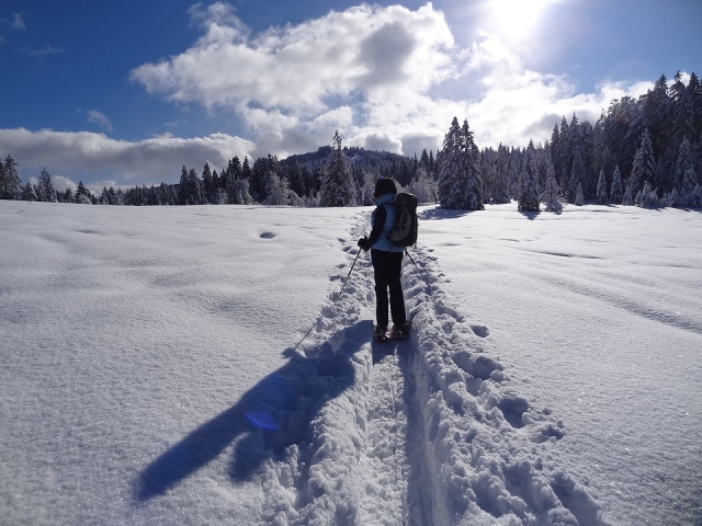  轻松地在雪中行走 
