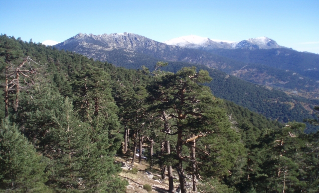 Sierra de Guadarrama al norte de Madrid