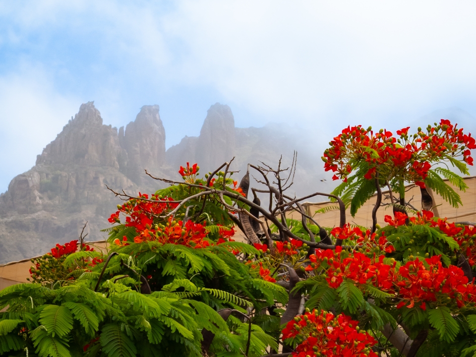  Paisagem de Tenerife