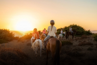 Horseback riding along Costa Adeje, 2 hours