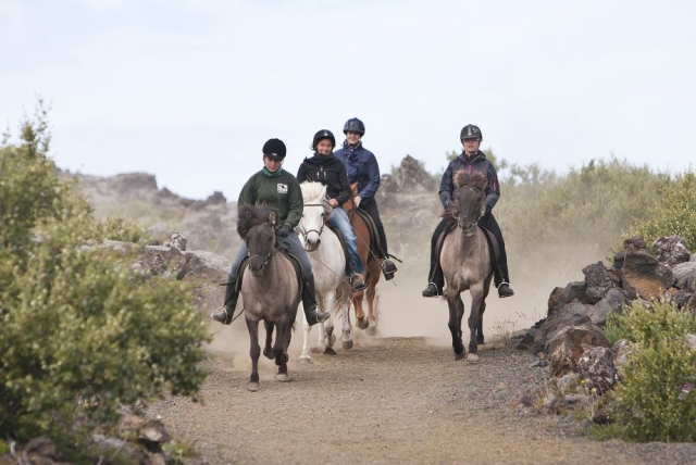  Passeios a cavalo pelos campos de Adeje 