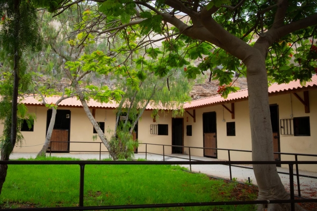  Percursos a cavalo em Tenerife