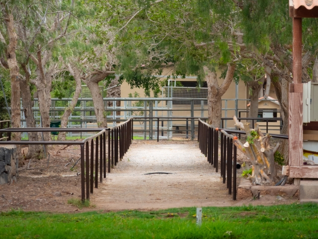  Percursos adaptados a qualquer nível 