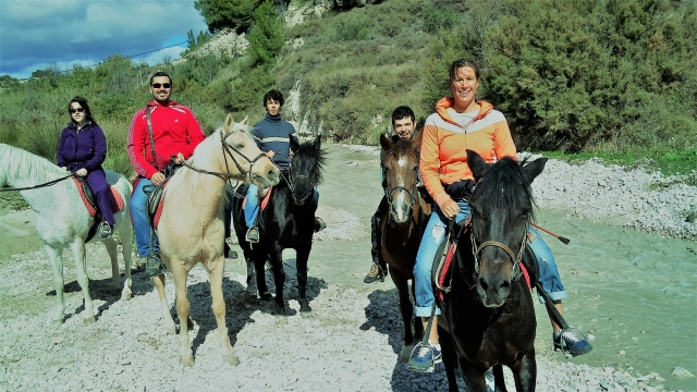  Plano equestre com os seus amigos 