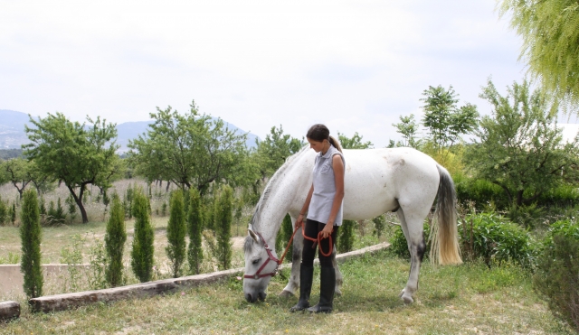  Paragem para o cavalo comer