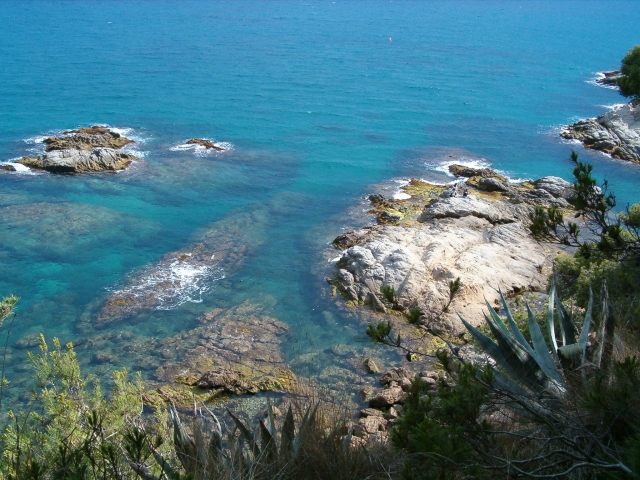 Detalle del litoral de la costa Brava