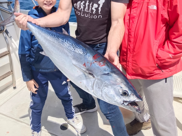  Fischerei zum Lehrplan in Valencia 