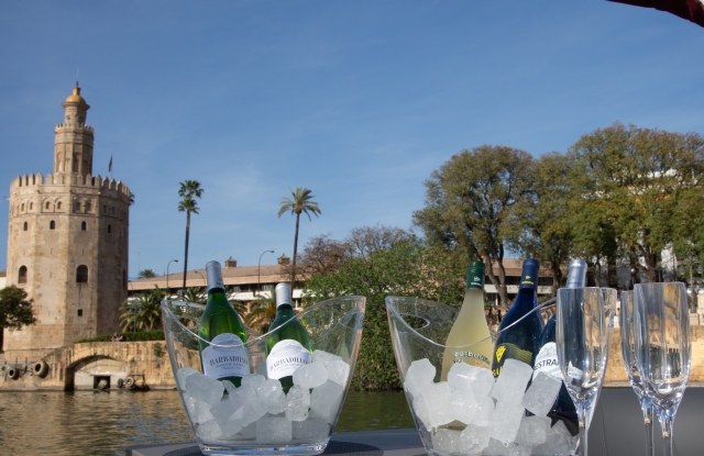 Paseo en barco por Sevilla