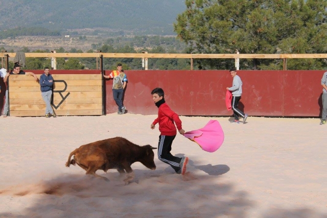  与斗篷 