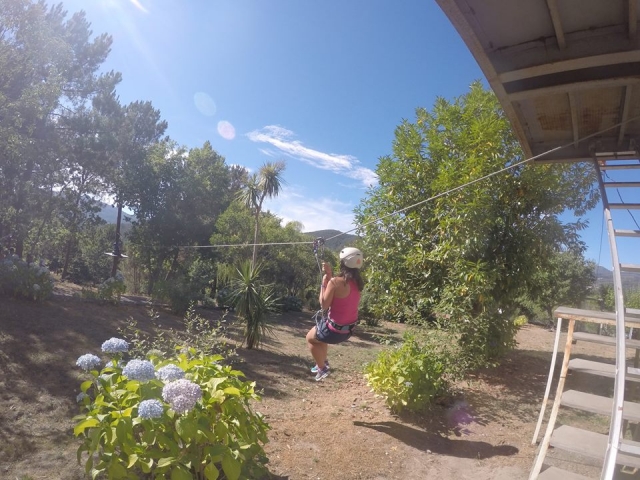 On the zip line 