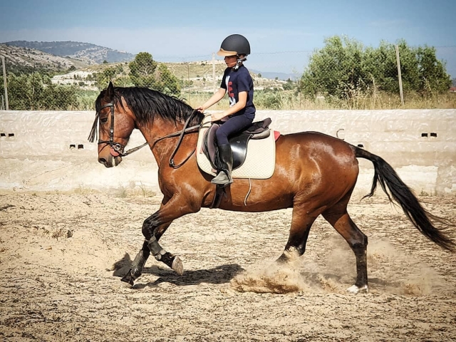  Horse riding class 
