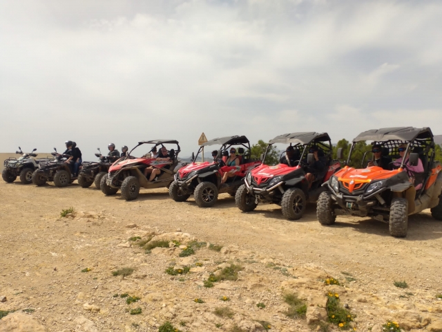  Our buggies ready to go 