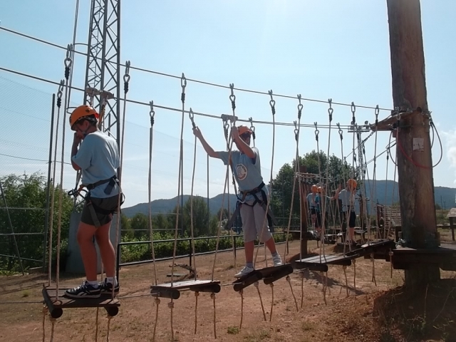 Circuit multi-aventure avec ponts de singe 