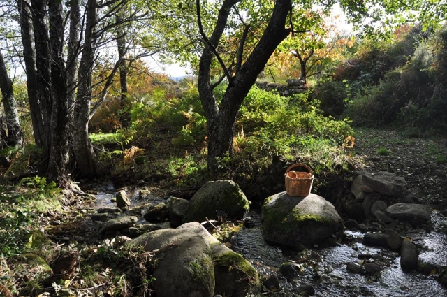 Ruta para recolectar cerezas