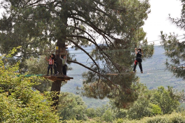  Circuito multiaventura nas árvores 
