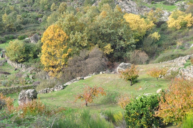 Increible entorno rural en Extremadura