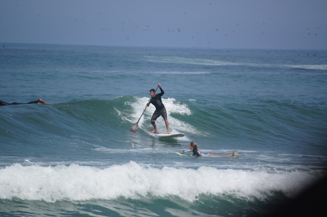  In the waves practicing paddle boarding 