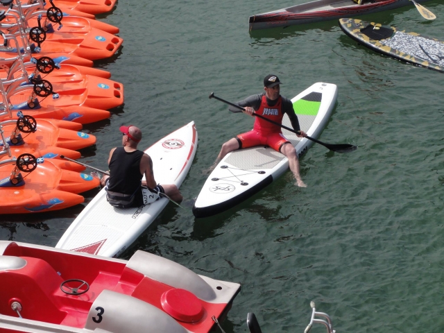 Paddle surfing in the sea 