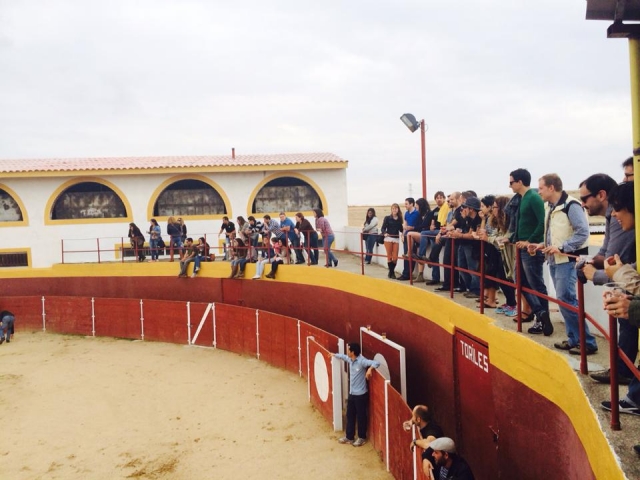 Plaza de tientas