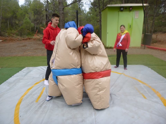  Sumos sur le tatami 