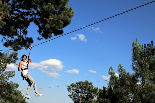  Zipline