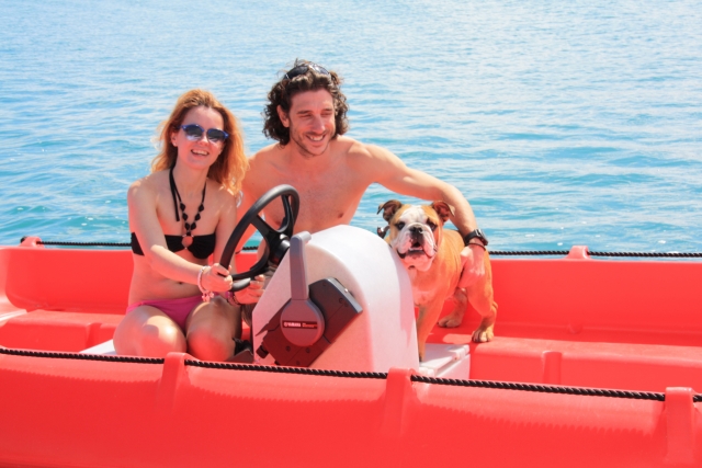  Navigazione con il nostro animale domestico 