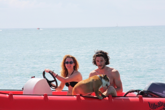  Cani ammessi a bordo 