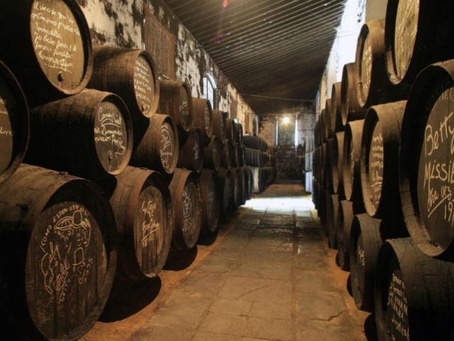 Bodega Tio Pepe 