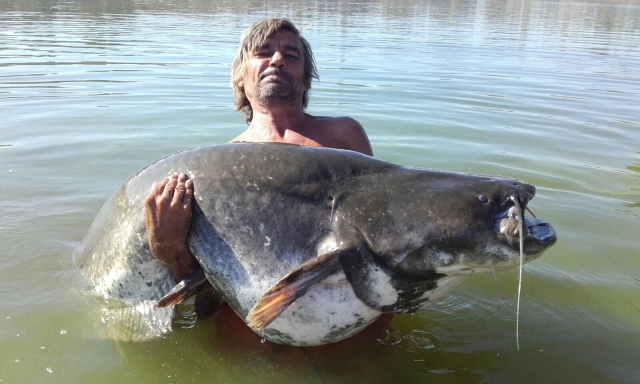  Catfish will challenge you 
