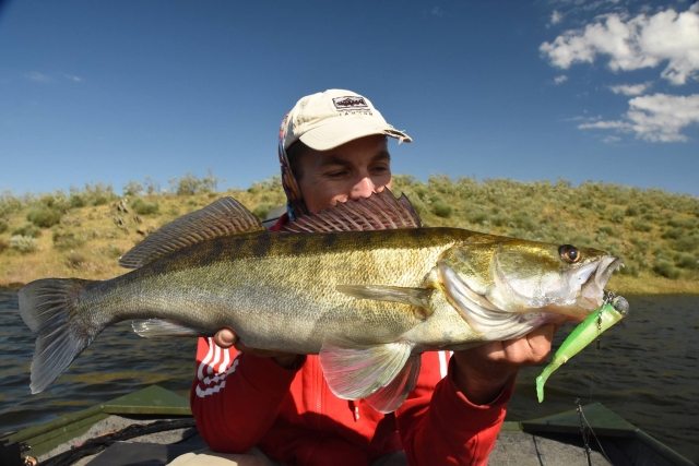 Pike fishing