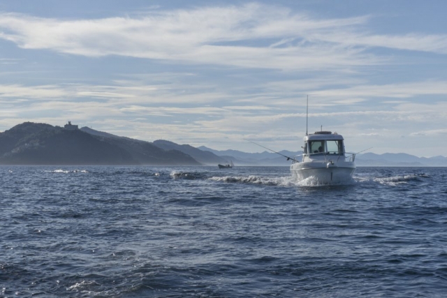  Segeln auf der Suche nach Walen 
