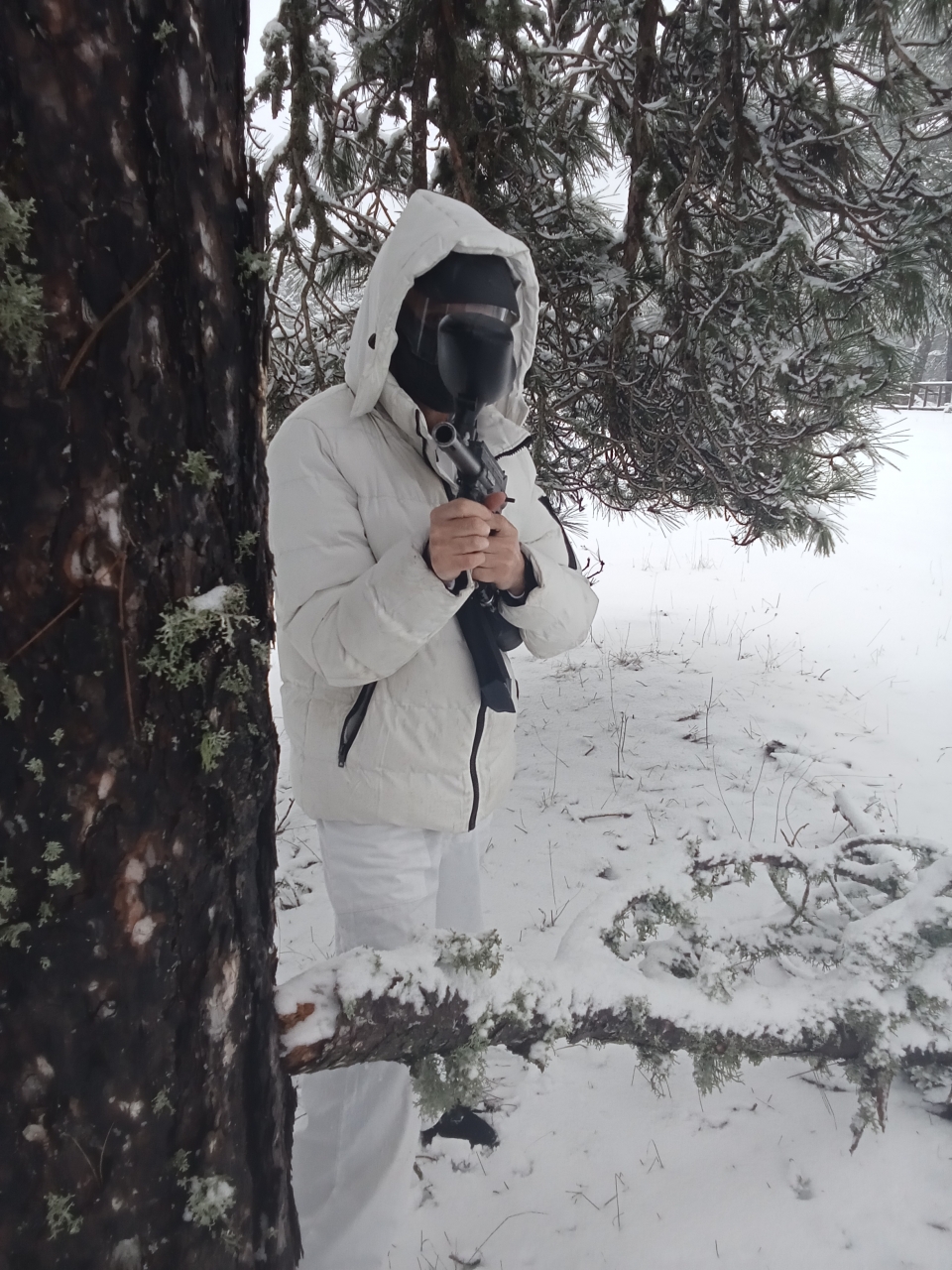 Gotcha nevado