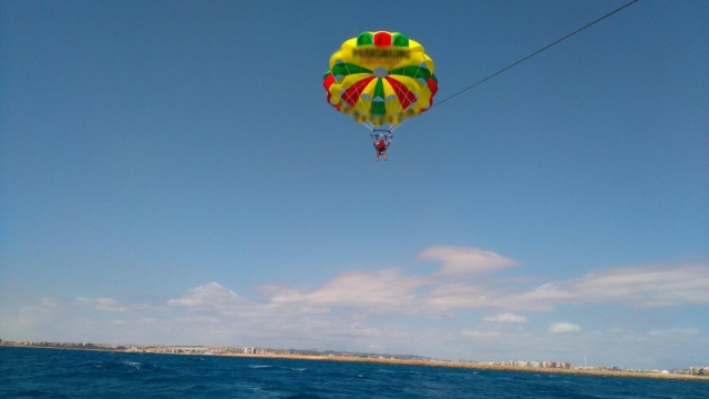  Fliegen in Torrevieja