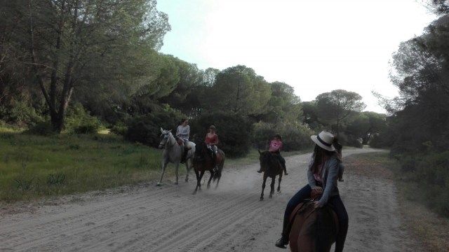 Recorrido a caballo