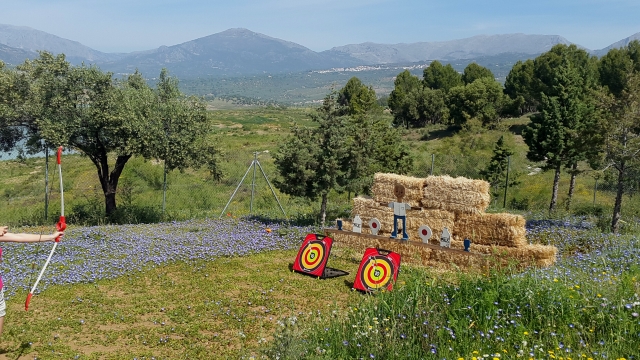 Dianas en el campo