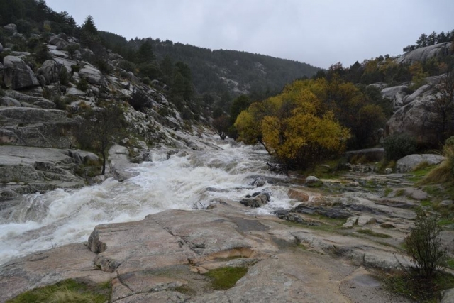  Riachuelo de la Pedriza 