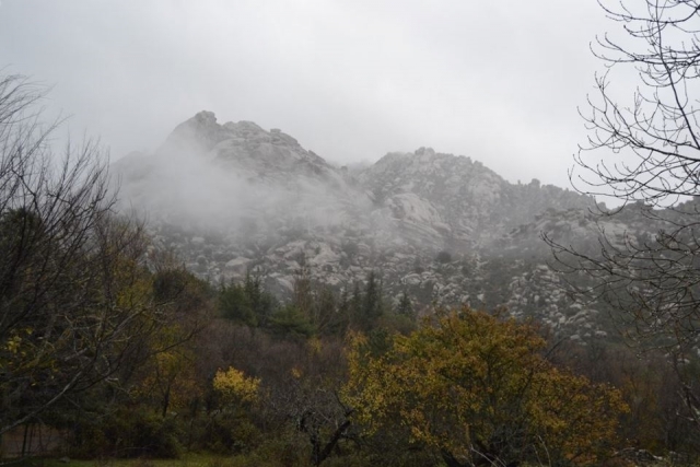  雨天的山 