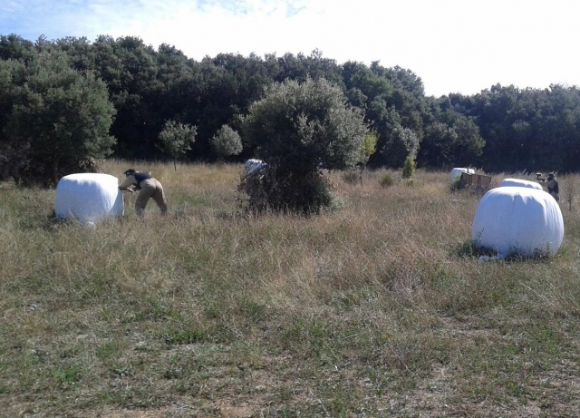 Jugando al paintball