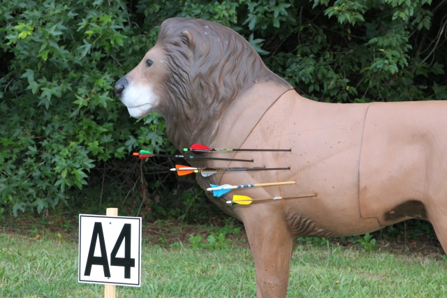Jalo con arco 3D