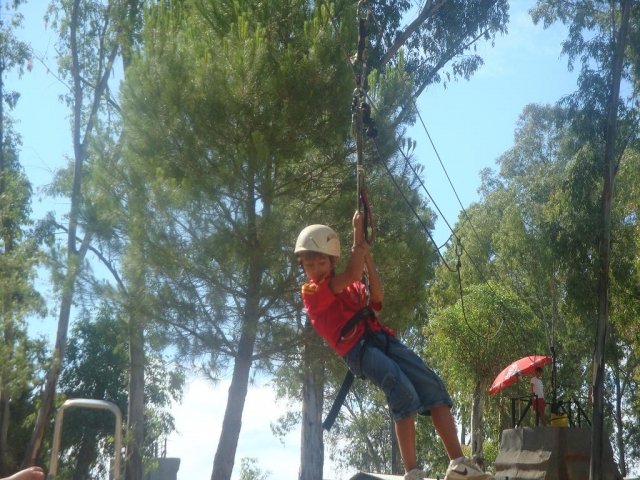  Circuit in the trees 