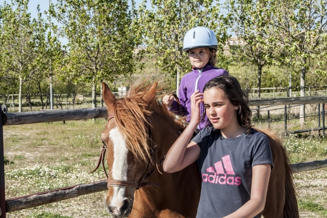 Learning to ride a horse 