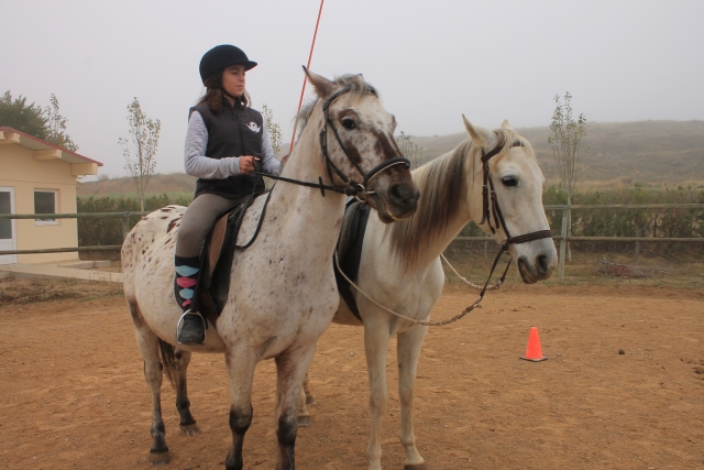  Track classes 