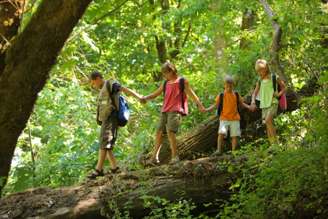  Enfants dans la nature 