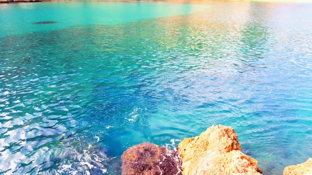  Sup in Cala Tango 