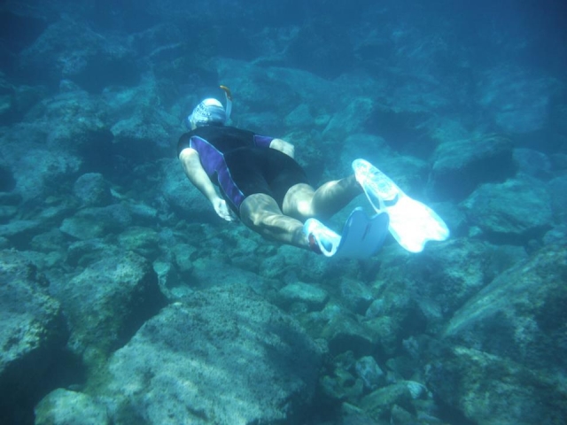  Alla ricerca delle specie marine