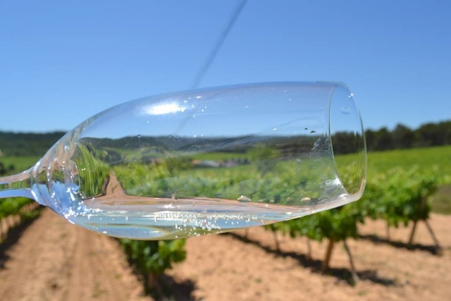  Vignobles du domaine 