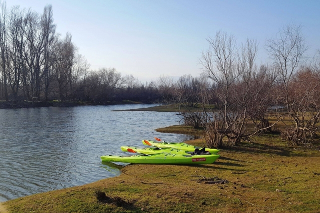 Excursion en canoë 