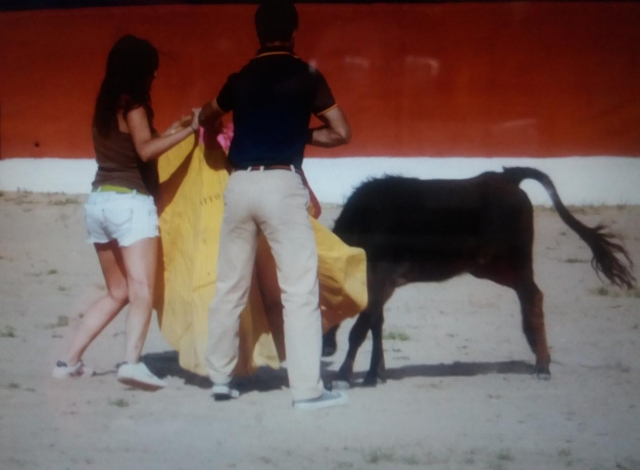 Capea con vaquillas